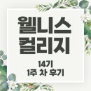웰니스 코리아 | [웰니스컬리지 14기🌿] 1주 차 후기 _ 후속교육(슬로우조깅) _ 스터디 실습
