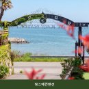 핑스애견펜션 | 거제펜션 핑스애견펜션 반려견과 함께하는 힐링 여행
