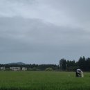 원식목장 이미지