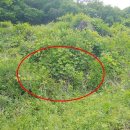 전곡읍-17 이미지