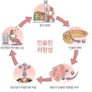 당신이 살찌는 ‘진짜’ 이유 이미지