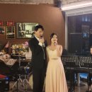 어반바이브