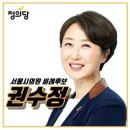 정의당 서울시의원은 의원직 유지상태로 서울시장 입후보 가능하네요. 이미지