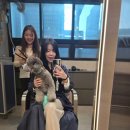 네츄럴 기초메이크업 | 청담 순수에서 배우프로필 헤메 후기 |쿨톤 자연스러운 청담동 헤어메이크업 사진 결과물