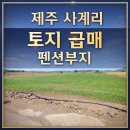 평지민박 이미지