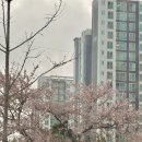 리안건축인테리어 네이버블로그