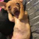 썬(sun)노래연습장 | 260412 방탄소년단 콘서트 막콘 후기 (고양종합운동장 s4구역 10열 시야 / 카카오셔틀)