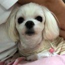 청수탕 이미지