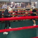 충의복싱체육관 이미지