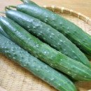 취청 오이/ 청오이/청풍오이/ 청오이와 백오이 차이점/ Green Cucumber 이미지