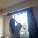후쿠오카 3박4일 일정 :: Day 2(유후마부시신, 유후인노모리, 니쿠이치야쿠인, 토리돈하루요시, 가성비...