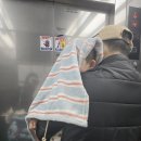 백암농장 | 울진여행 ఇ 20개월 아기와 울진 1박2일 여행 코스 총정리｜왕피천공원·케이블카·백암온천