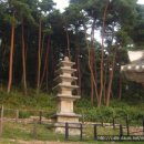 고부지구대 Daum카페