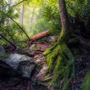 분당어린이집 | 공동육아 어린이집 분당 덩더쿵 신입부모 체험후기 알아보자