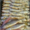 9월 14일(월) 목포는항구다 생선카페 판매생선[ 생물 참조기(20~21cm), 딱돔 / ＜추가할인＞[예약] )흰다리새우 ] 이미지