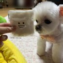 메모리멍 네이버블로그