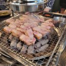 돈포레스트 이미지