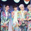 샤이니독 이미지