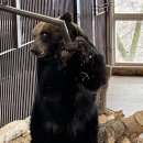 송영목장 이미지