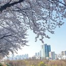 양평1동-4 이미지