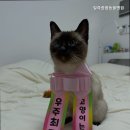 안성동물병원 일죽종합동물병원 합리적 비용의 동물병원