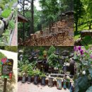 산동숲유치원 이미지