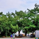 구산-026 이미지