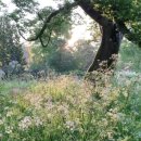 계백로776번길 이미지