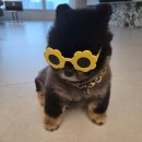 쁘띠멍살롱 이미지