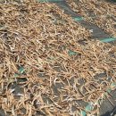 용래농장 이미지