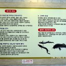 털랭이 매운탕 이미지