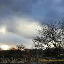 제주로뎀나무하우스 이미지