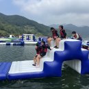 더혼 산하도장 이미지