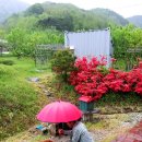 효재농장 이미지