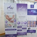 더 아르디 이미지