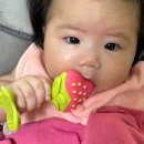 앙쥬 - 의정부시 오목로 196 | 4개월 아기치발기로 모윰 퍼기 앙쥬 사용해 본 후기