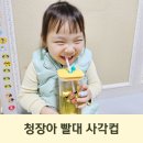 유아 빨대컵 추천 청년장애인웹툰아카데미 초긍정호박이 사각 간식컵