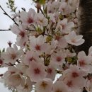 향남2지구 체육공원 이미지