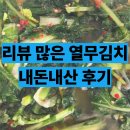 신아스토리 | 열무물김치 추천 내돈내산 후기 1kg 3kg 5kg 비빔밥 국수하기 좋아