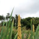 해파랑길 4코스 이미지