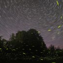 반딧불안경 이미지