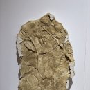 김정모 카카오 검색결과