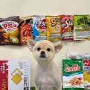 베베도그 이미지