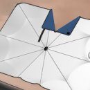 오토크루 이미지