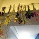 슬로우스텝 이미지