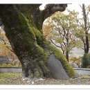 평사리주유소 이미지