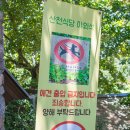 산천오리 | 대구 팔공산 계곡식당 산천식당 메뉴 가격 야외 여름맛집 오리불고기 오리소금구이 감자전 후기