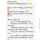 제주애월당귤