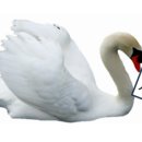 새록새록어린이집 이미지