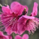 향기담기 이미지